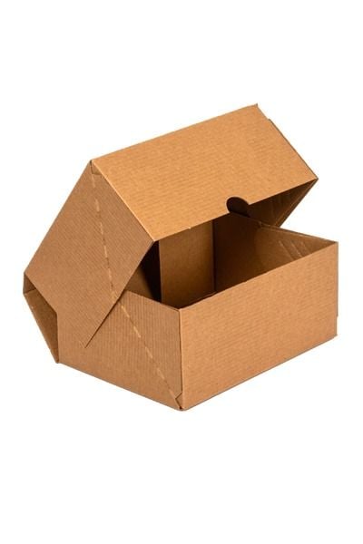 E-Ticaret Kargo Kutusu 4 Nokta Kraft 25x16x10 cm