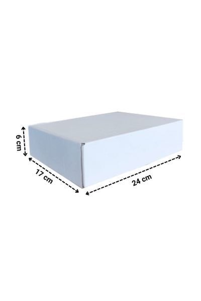 E-Ticaret Kargo Kutusu 24x17x6 cm