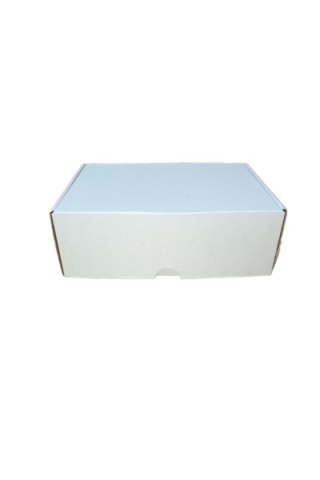 E-Ticaret Kargo Kutusu 24x17x6 cm