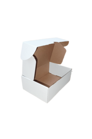 E-Ticaret Kargo Kutusu 24x17x6 cm