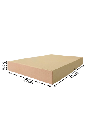 E-Ticaret Kargo Kutusu 45x30x5 cm