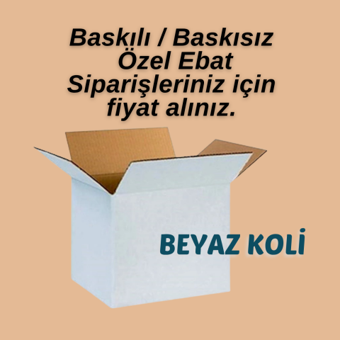 Beyaz Karton Koli