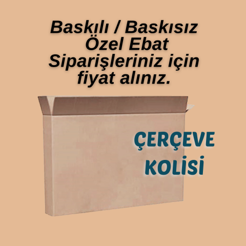 Çerçeve Kolisi