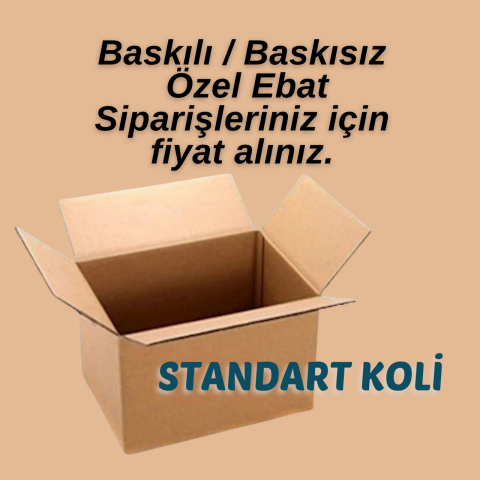 Standart A-Box Koli