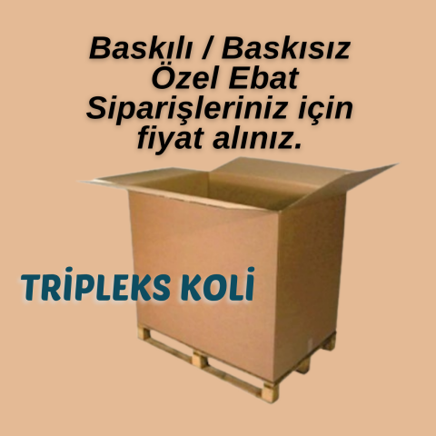 Triplex Koli