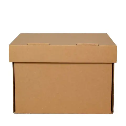 Arşiv Kutusu 35x25x25 cm Çift Oluklu